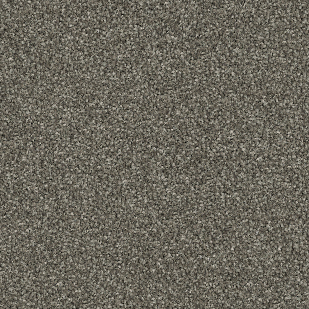Metro Etch Cut Pile Twist Carpet (CGS7)