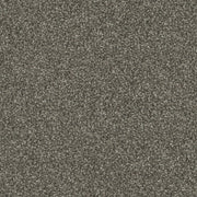 Metro Etch Cut Pile Twist Carpet (CGS7)