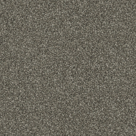 Metro Etch Cut Pile Twist Carpet (CGS7)