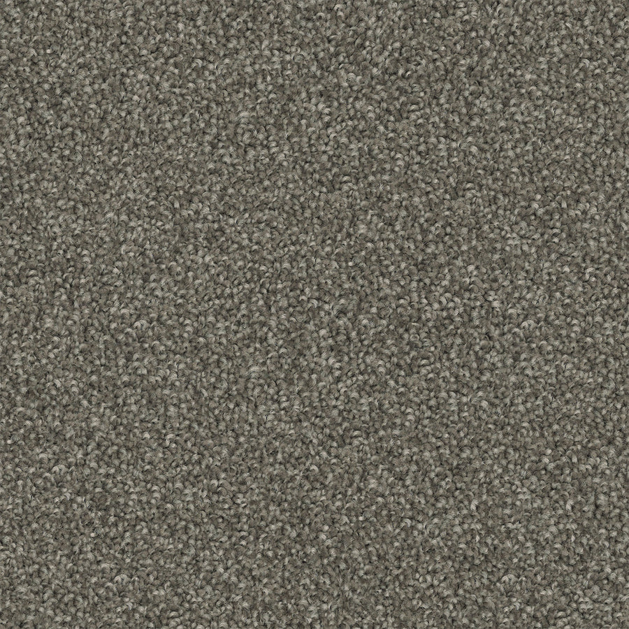 Metro Etch Cut Pile Twist Carpet (CGS7)