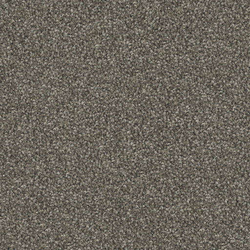 Metro Etch Cut Pile Twist Carpet (CGS7) - National Floors