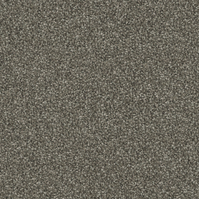 Metro Etch Cut Pile Twist Carpet (CGS7) - National Floors