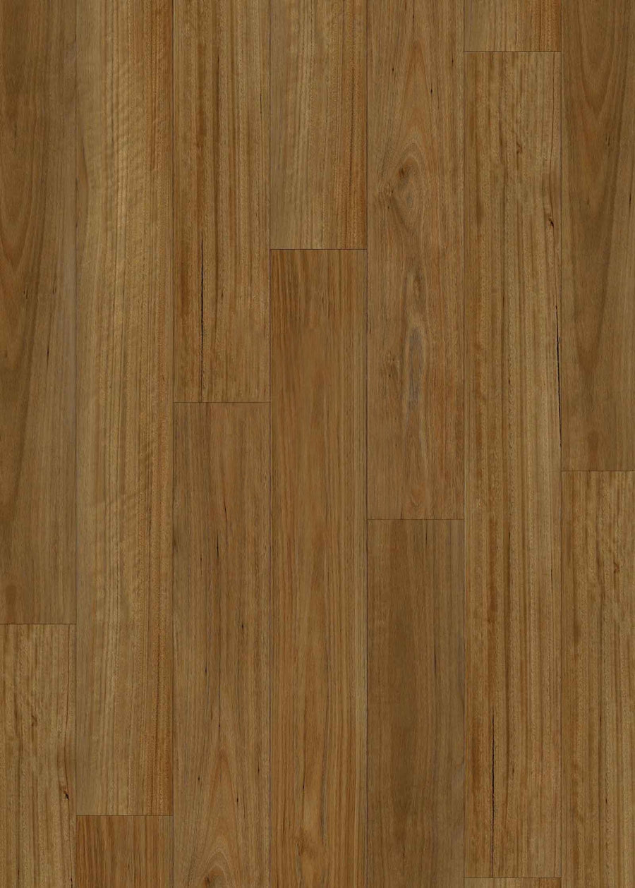 Spotted Gum 7mm Hybrid Flooring (HGC-BB1008) - National Floors