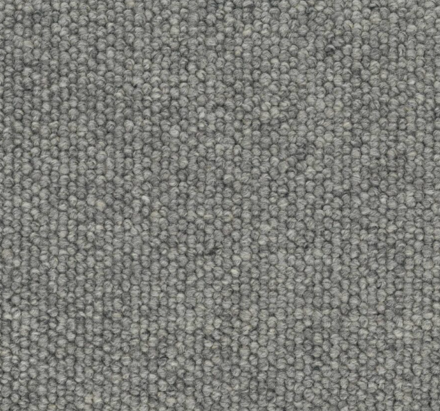 Nelsaur Loop Pile Carpet (CGK10)