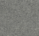 Nelsaur Loop Pile Carpet (CGK10) - National Floors