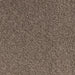 Neovia Twist Pile Carpet (CQE6) - National Floors
