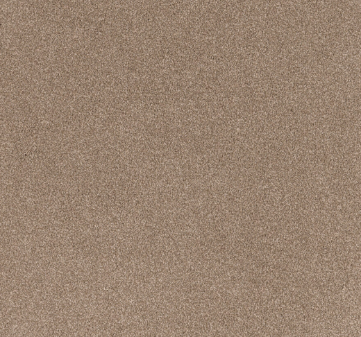 Arvane Cut Pile Twist Carpet (CEL7)
