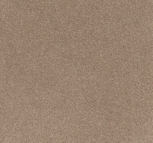 Arvane Cut Pile Twist Carpet (CEL7) - National Floors