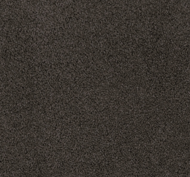 Olera Cut Pile Twist Carpet (CGL7)