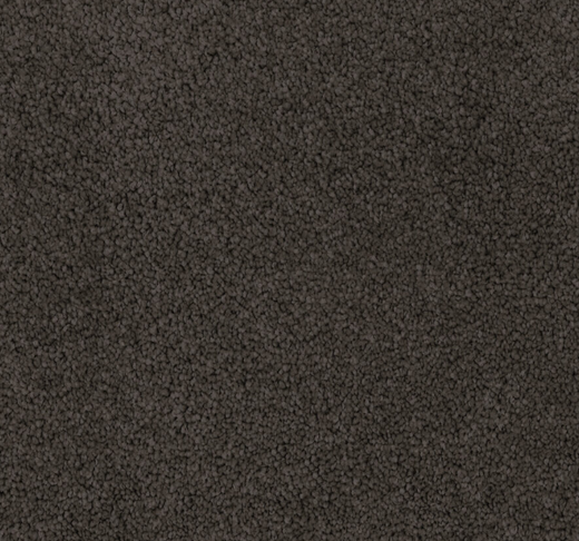 Olera Cut Pile Twist Carpet (CGL7)