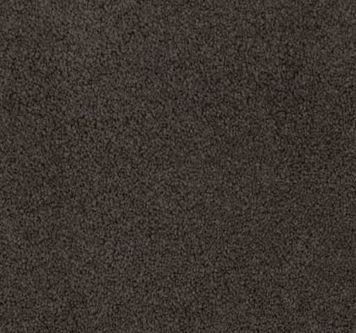 Olera Cut Pile Twist Carpet (CGL7) - National Floors