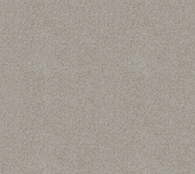 Oyster Shore Cut Pile Twist Carpet (CGD8)
