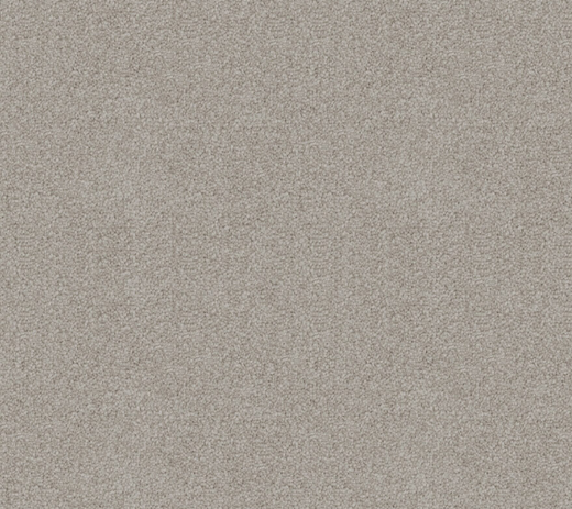 Oyster Shore Cut Pile Twist Carpet (CGD8)