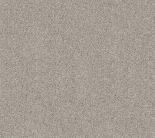 Oyster Shore Cut Pile Twist Carpet (CGD8) - National Floors
