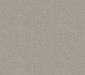 Oyster Shore Cut Pile Twist Carpet (CGD8) - National Floors