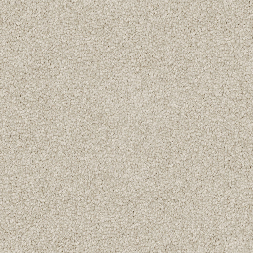 Pale Crest Cut Pile Twist Carpet (CGS5)