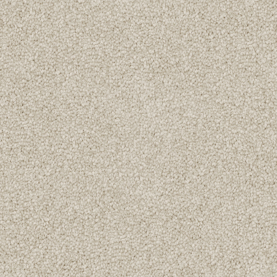 Pale Crest Cut Pile Twist Carpet (CGS5)