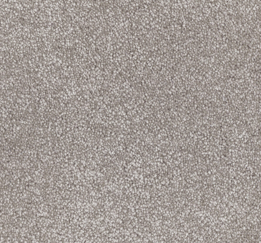 Paradise Hollow Cut Pile Twist Carpet (CGN11) - National Floors