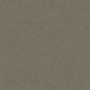 Pewtaire Cut Pile Twist Carpet (CGR3)
