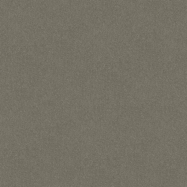 Pewtaire Cut Pile Twist Carpet (CGR3)