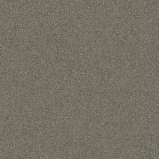 Pewtaire Cut Pile Twist Carpet (CGR3)