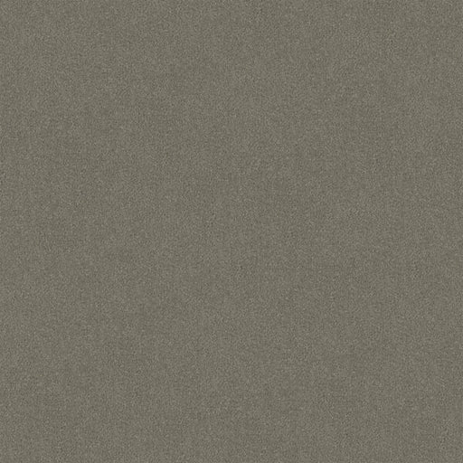 Pewtaire Cut Pile Twist Carpet (CGR3) - National Floors