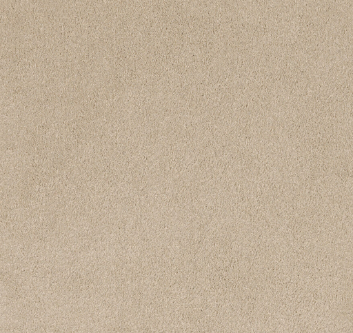 Meridian Cut Pile Twist Carpet (CEB7) - National Floors