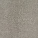 Quantara Twist Pile Carpet (CQE8) - National Floors