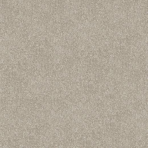 Quorin Cut Pile Twist Carpet (CGR4)