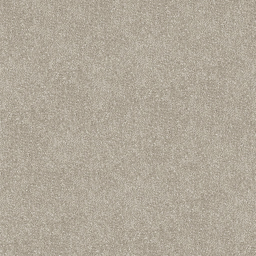 Quorin Cut Pile Twist Carpet (CGR4) - National Floors