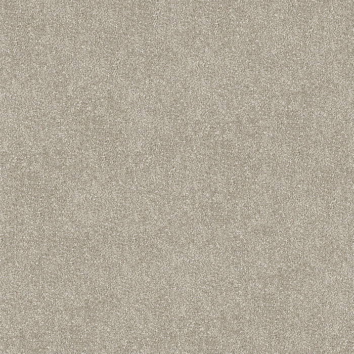 Quorin Cut Pile Twist Carpet (CGR4) - National Floors