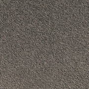 Railstone Twist Pile Carpet (CQE9)