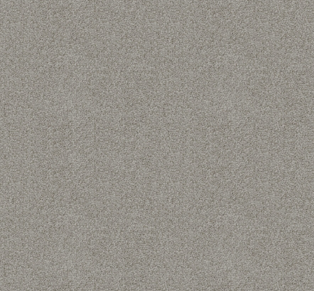 Rawstone Cut Pile Twist Carpet (CGD9)