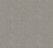 Rawstone Cut Pile Twist Carpet (CGD9)