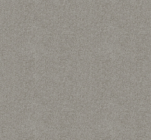 Rawstone Cut Pile Twist Carpet (CGD9)