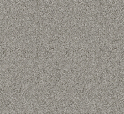 Rawstone Cut Pile Twist Carpet (CGD9) - National Floors