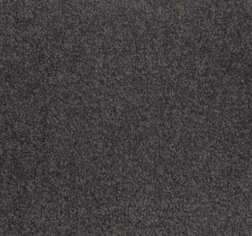 Roarstone Cut Pile Twist Carpet (CGN12) - National Floors