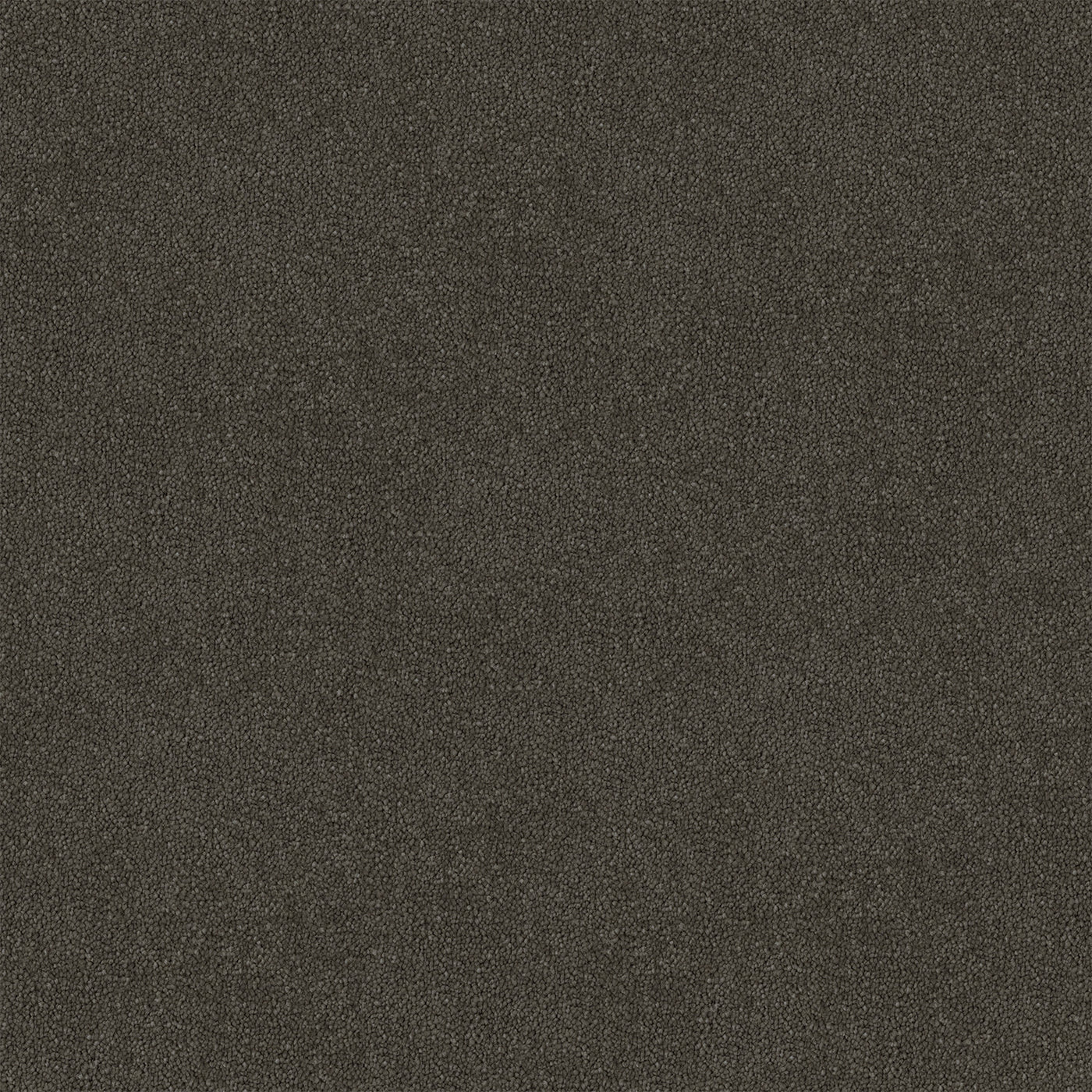 Saddle Etch Cut Pile Twist Carpet (CGR5)