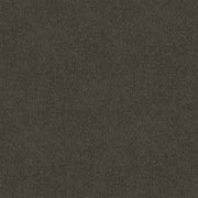 Saddle Etch Cut Pile Twist Carpet (CGR5)