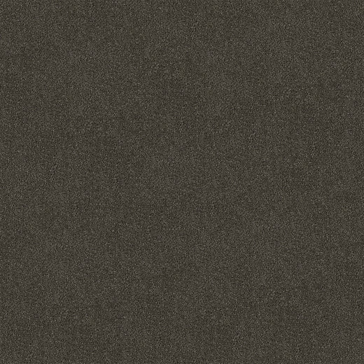 Saddle Etch Cut Pile Twist Carpet (CGR5)