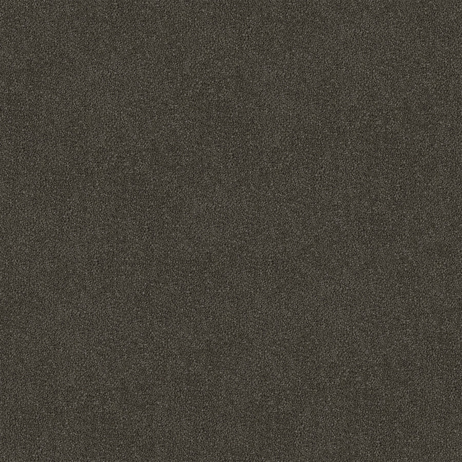 Saddle Etch Cut Pile Twist Carpet (CGR5)