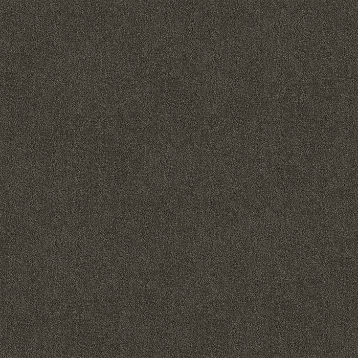 Saddle Etch Cut Pile Twist Carpet (CGR5) - National Floors