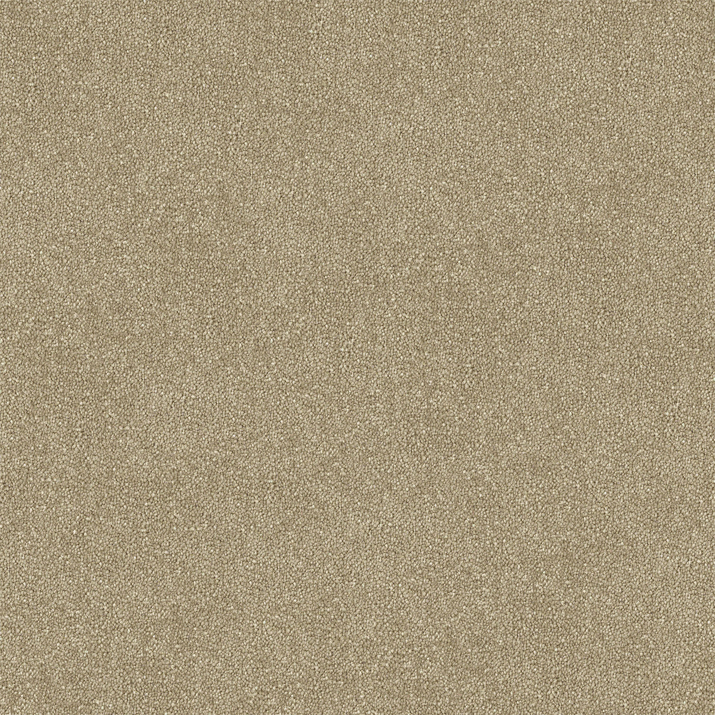 Sandaire Cut Pile Twist Carpet (CGR6)