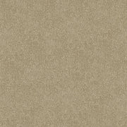 Sandaire Cut Pile Twist Carpet (CGR6)