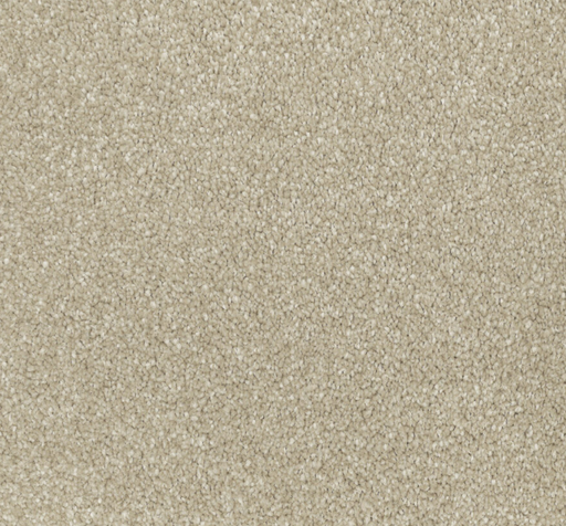 Sandcrest Cut Pile Twist Carpet (CGL8) - National Floors