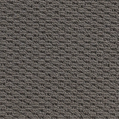 Seaborne Loop Pile Carpet (CQK7)