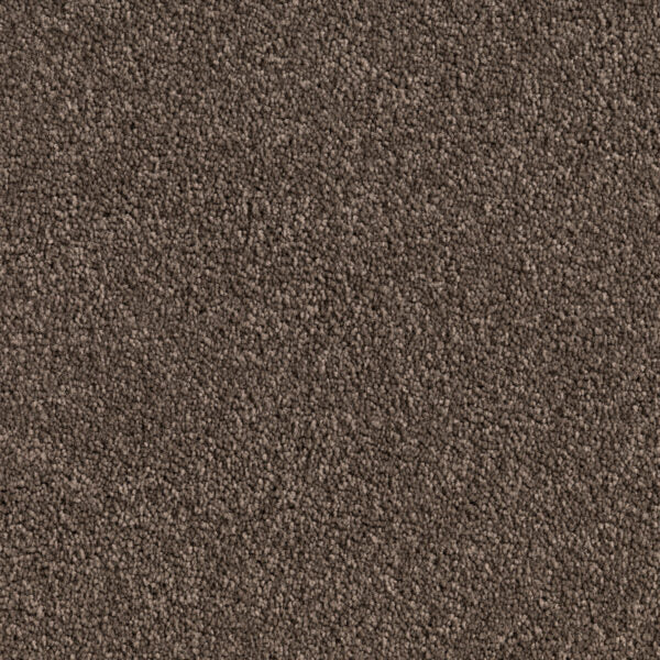 Shadowstone Twist Pile Carpet (CQE3)