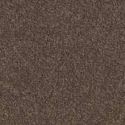 Shadowstone Twist Pile Carpet (CQE3)