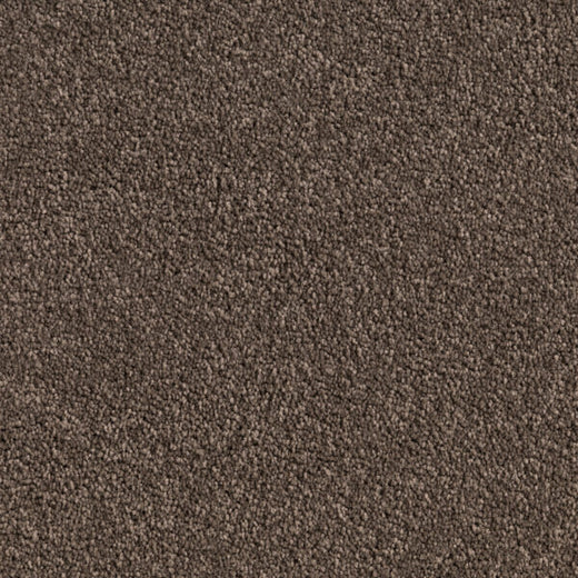 Shadowstone Twist Pile Carpet (CQE3)