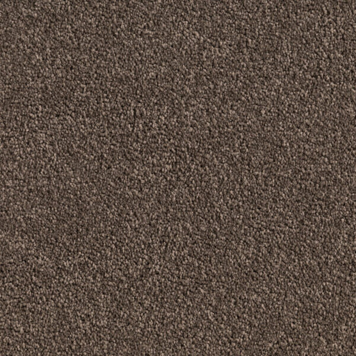 Shadowstone Twist Pile Carpet (CQE3) - National Floors